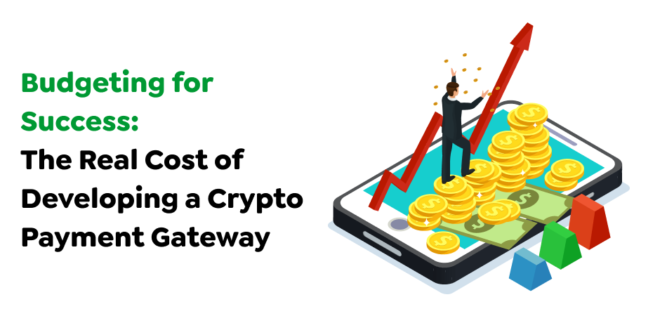 Budgeting-for-Success_-The-Real-Cost-of-Developing-a-Crypto-Payment-Gateway